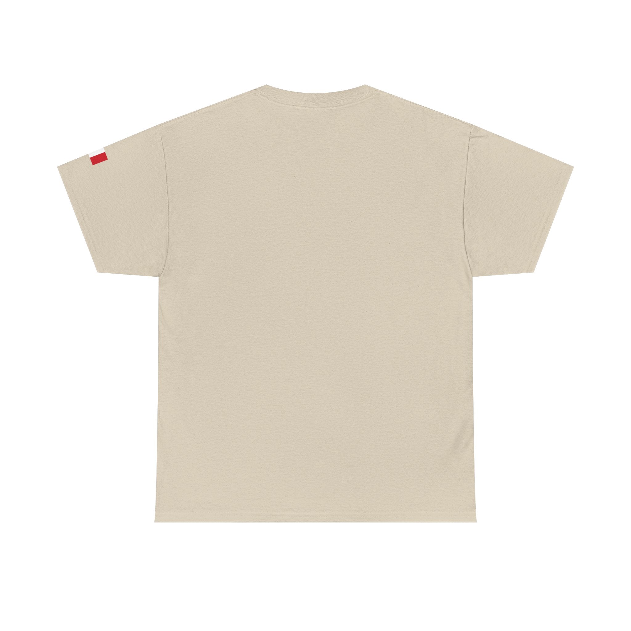 France Minimalist Tee — Slim Tricolor Logo T-Shirt