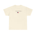 Czech Republic Flag T-Shirt — Minimal Czech Pride Tee