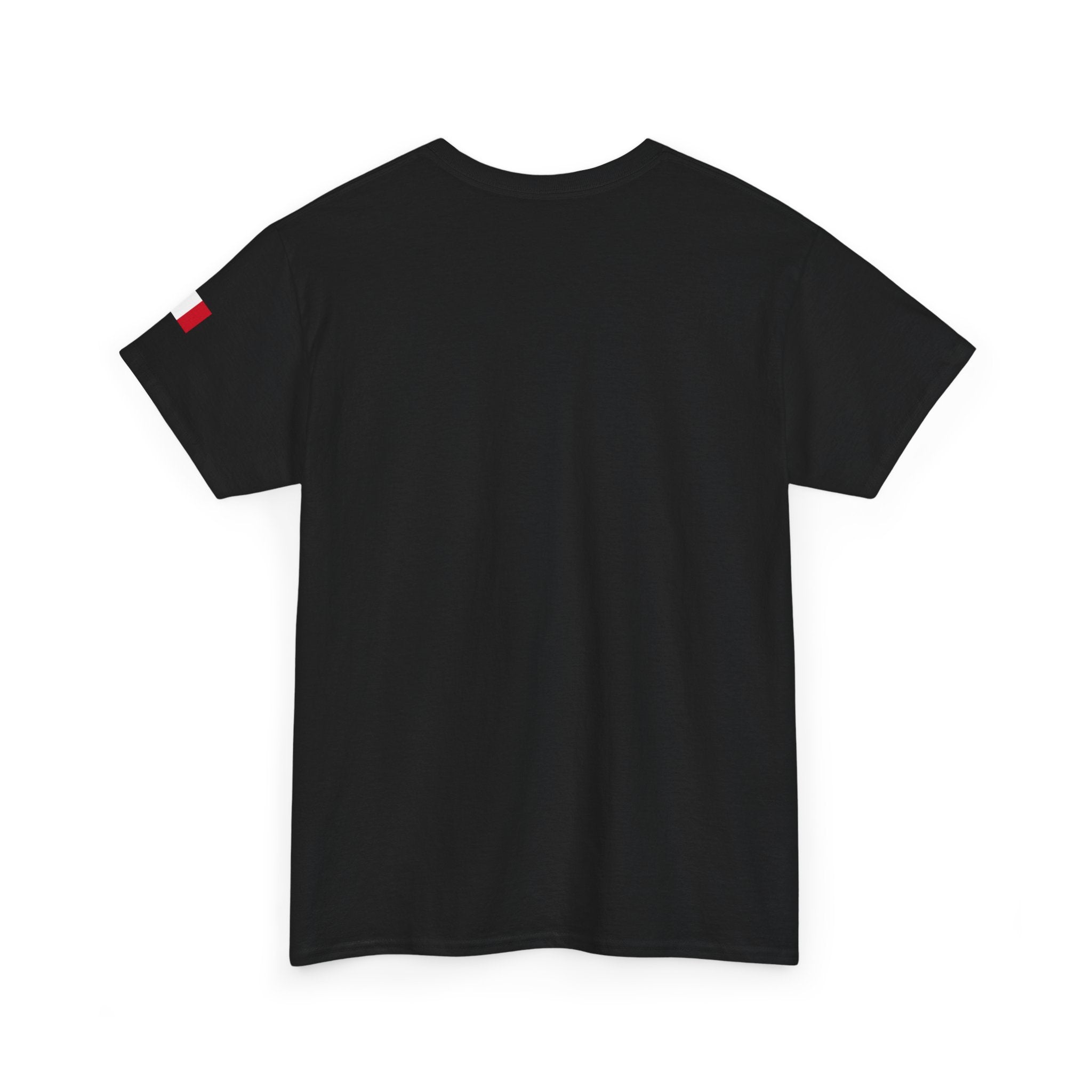 France Minimalist Tee — Slim Tricolor Logo T-Shirt