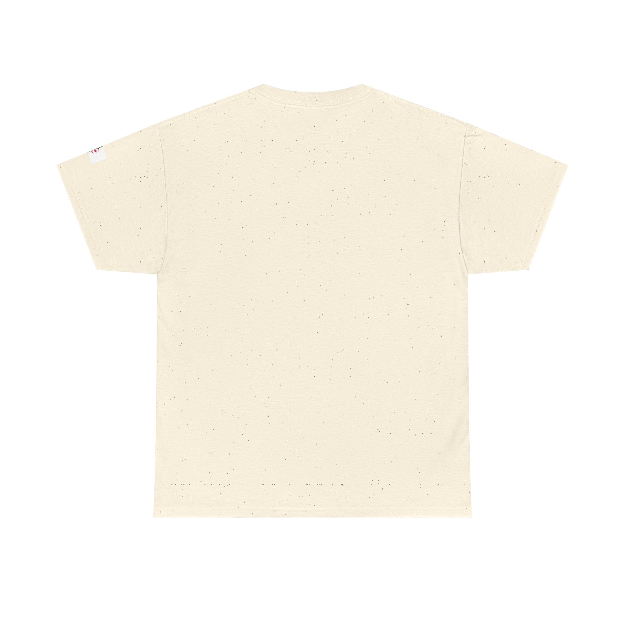 Algeria Minimalist White Tee —Subtle 'ALGÉRIE' Chest Logo
