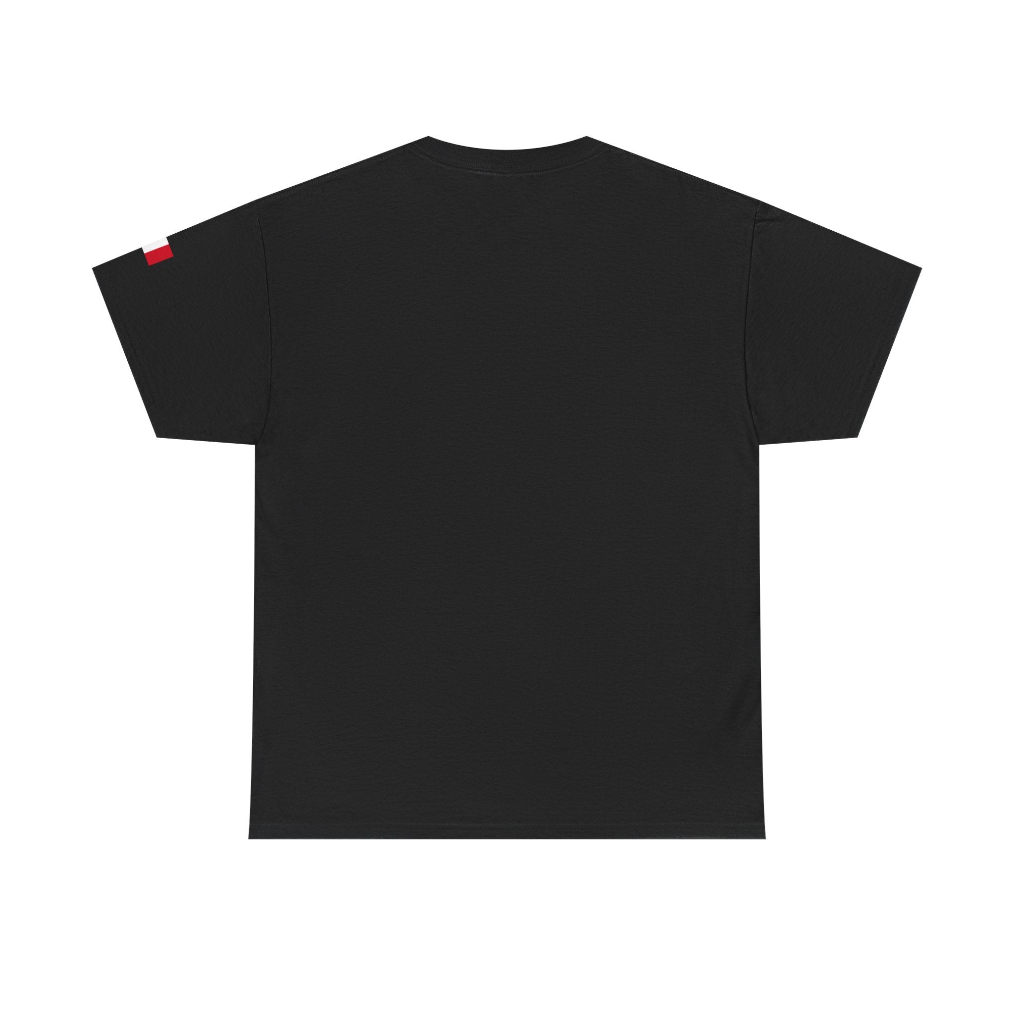 France Minimalist Tee — Slim Tricolor Logo T-Shirt